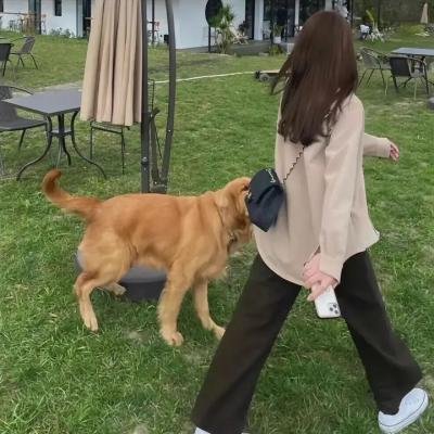 战栗